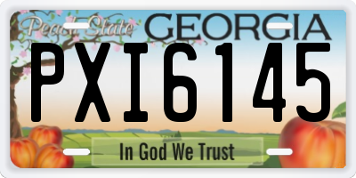 GA license plate PXI6145