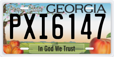 GA license plate PXI6147