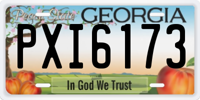 GA license plate PXI6173