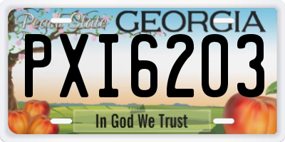 GA license plate PXI6203