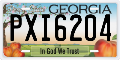 GA license plate PXI6204