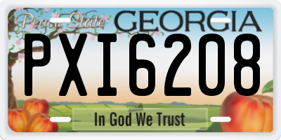 GA license plate PXI6208