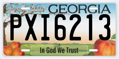GA license plate PXI6213