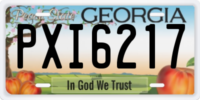 GA license plate PXI6217