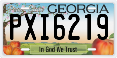 GA license plate PXI6219