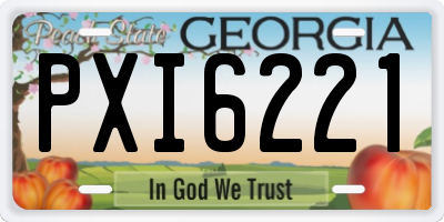 GA license plate PXI6221
