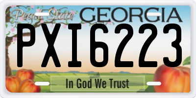 GA license plate PXI6223