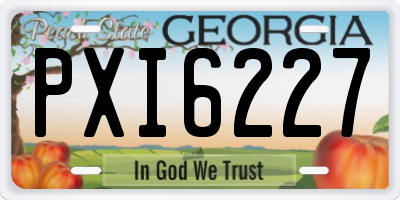 GA license plate PXI6227