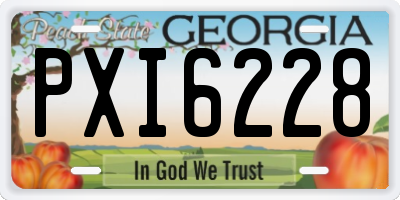 GA license plate PXI6228