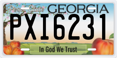 GA license plate PXI6231