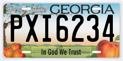 GA license plate PXI6234