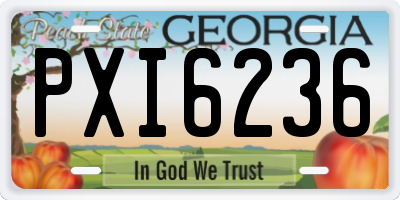 GA license plate PXI6236