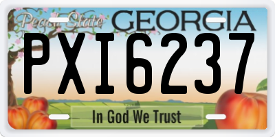 GA license plate PXI6237