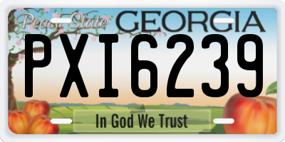 GA license plate PXI6239
