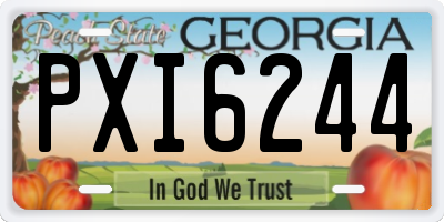 GA license plate PXI6244