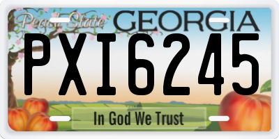 GA license plate PXI6245