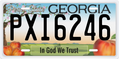 GA license plate PXI6246
