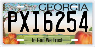 GA license plate PXI6254