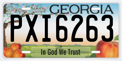 GA license plate PXI6263