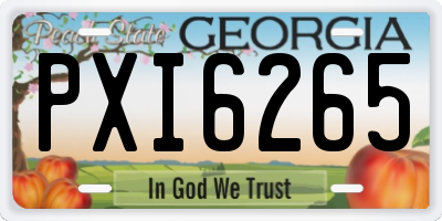 GA license plate PXI6265