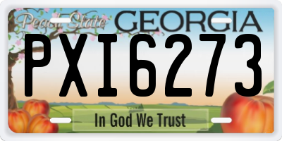 GA license plate PXI6273