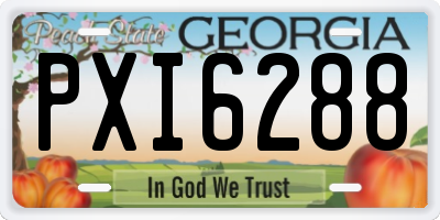 GA license plate PXI6288