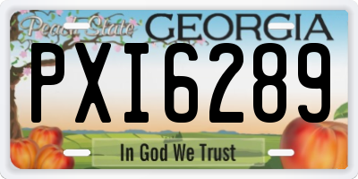 GA license plate PXI6289