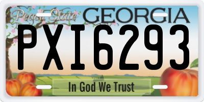 GA license plate PXI6293