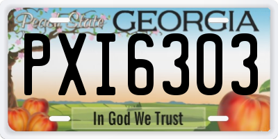 GA license plate PXI6303