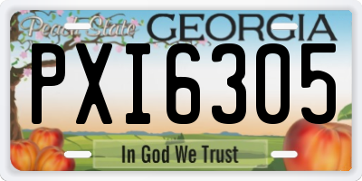 GA license plate PXI6305