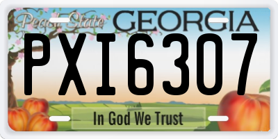 GA license plate PXI6307