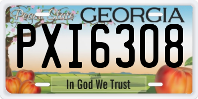 GA license plate PXI6308
