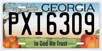 GA license plate PXI6309