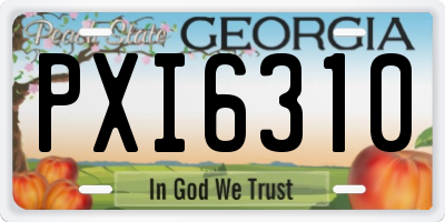 GA license plate PXI6310