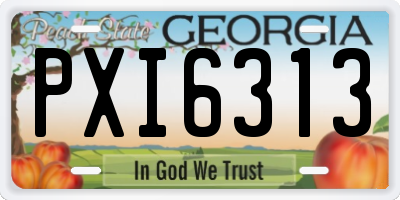 GA license plate PXI6313