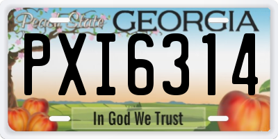 GA license plate PXI6314