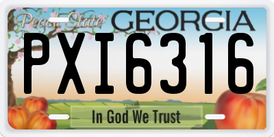 GA license plate PXI6316