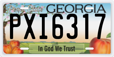 GA license plate PXI6317