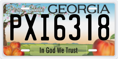 GA license plate PXI6318
