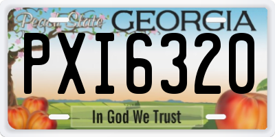 GA license plate PXI6320
