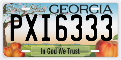 GA license plate PXI6333