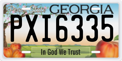 GA license plate PXI6335