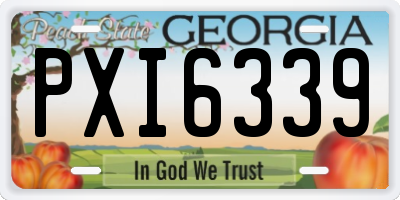 GA license plate PXI6339