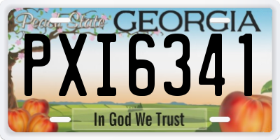 GA license plate PXI6341