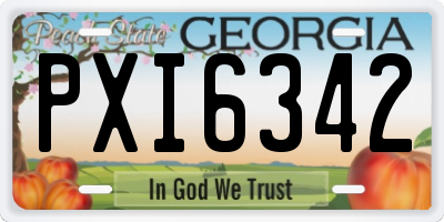 GA license plate PXI6342