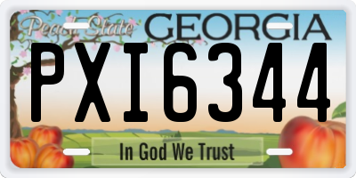 GA license plate PXI6344