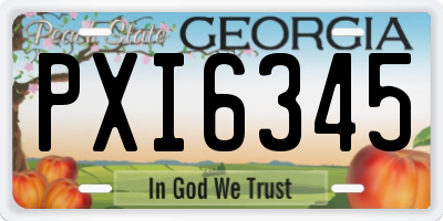 GA license plate PXI6345
