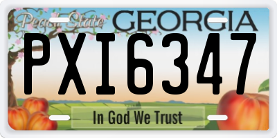 GA license plate PXI6347