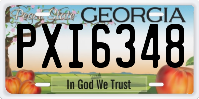 GA license plate PXI6348