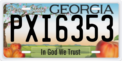 GA license plate PXI6353